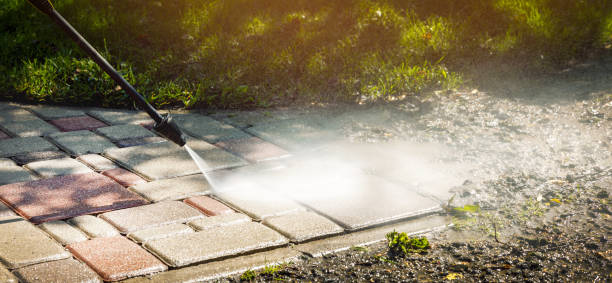 Best Fence Cleaning  in Gillett, WI
